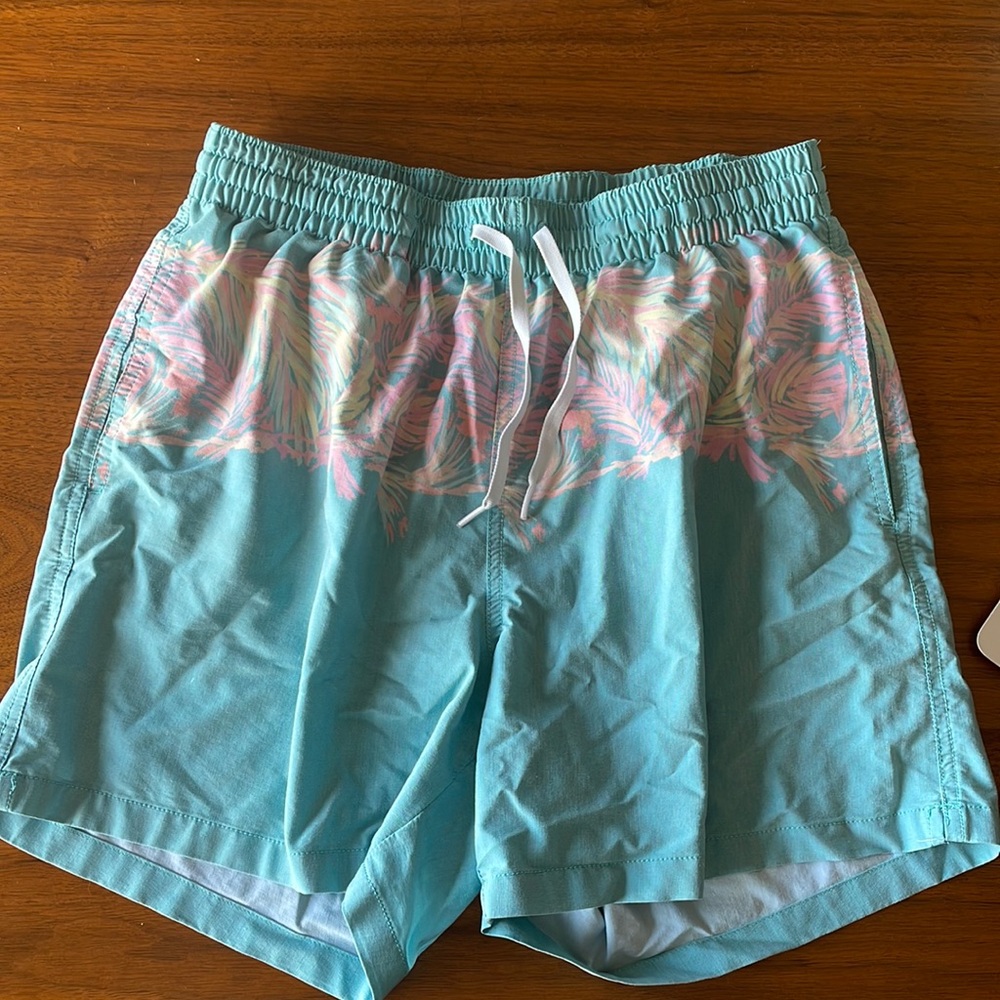 Chubbies board shorts